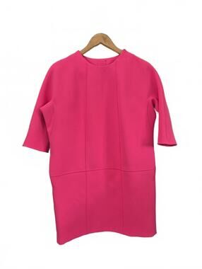 Banana Republic Ladies Neon Pink Seamed Shift Short Dress Short Sleeve